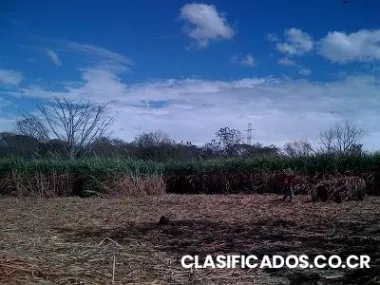 Lote industrial. nueva radial coyol - san jose caldera