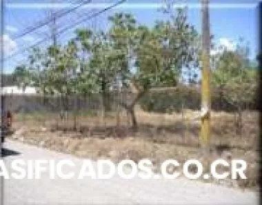 Lote liberia 1657 m2