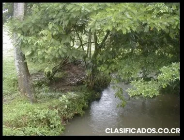 Lote pital de san carlos #4