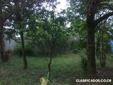 Lote plano de 305m2 en la uruca, en paralela a calle principal