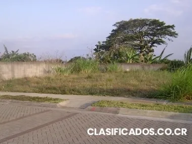 Lote san pablo heredia #17