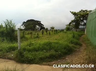 Lote santa lucia barva heredia #42