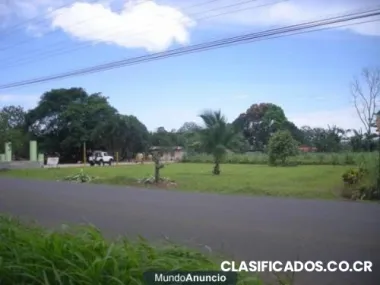 Lote serca del tecnologico san carlos