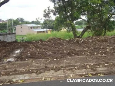 Lote st.lucia de barva #3