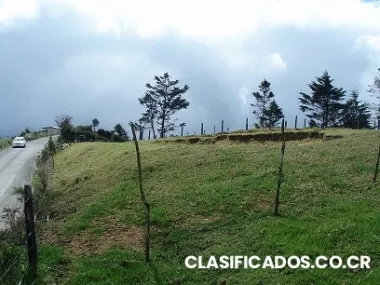 Lote tapezco zarcero alajuela #41