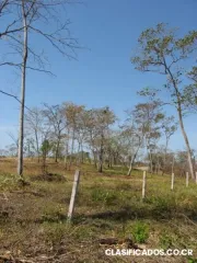 Lotes a la venta, tarcoles, sueño escondido
