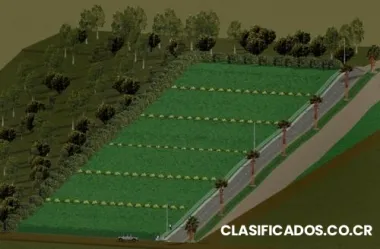 Lotes en san isidro de san ramon de alajuela