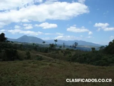 Lotes para quintas en la montaña / lots for quints in the rain forest