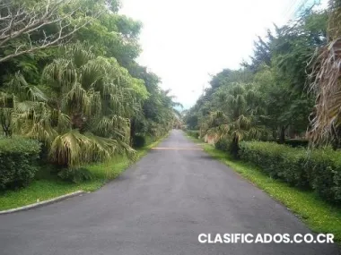 Lotes san pablo de heredia, tipo quinta