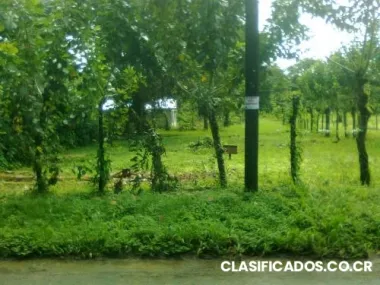 Oferta - lote en san carlos 500 m2