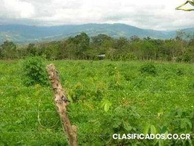 Ofrezco una manzana de terreno en santa marta de buenos aires, puntarenas