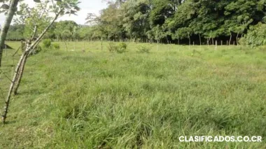 Oportunidad lote 1425m2,horquetas sarapiqui, heredia