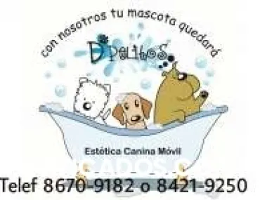 Peluqueria y estetica canina a domicilio