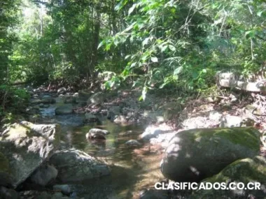 Preciosa finca en tinoco de osa