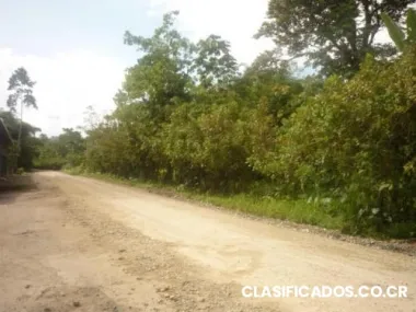 Preciosa finca limón costa rica