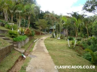 Propiedad #47 concepcion san isidro de heredia