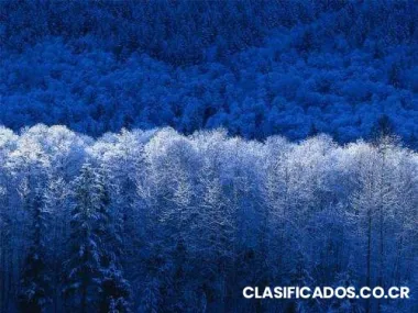 Propiedad en ubicacion comercial!!!