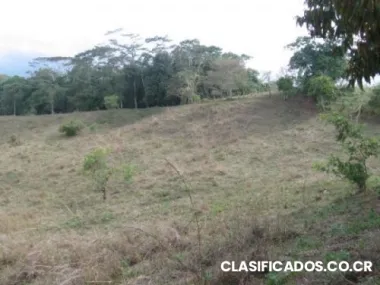 Propiedad para venta perez zeledon