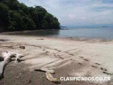 Proyecto de playa con 50 lotes