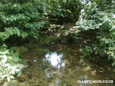 Quinta de montaña vírgen, especial para cabaña y canopy.