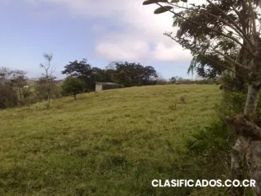 Quinta tilaran guanacaste