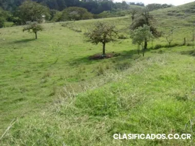 Quinta vasquez de coronado #32