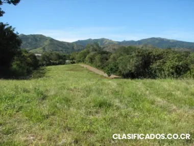 Quintas de 5000m2 en atenas, con vista y muy planas.