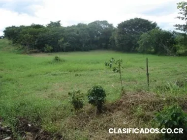 Recibo carros - doy terrenos