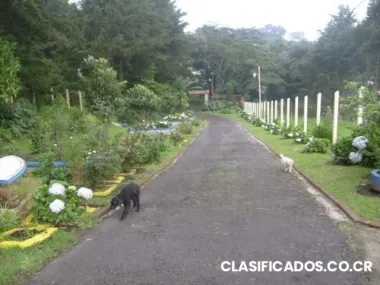 Se alquila casa en san jose de la montaña heredia