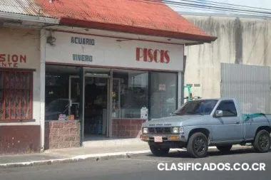 Se alquila local comercial en el centro de cartago