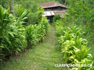 Se vende finca con vista panorámica a excelente precio
