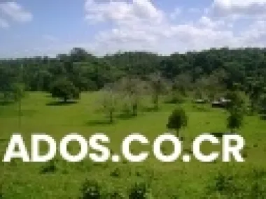 Se vende finca de 150 hectareas en guanacaste