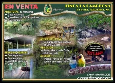 Se vende finca de café y cacao en nicaragua