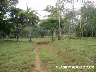 Se vende finca en pococi