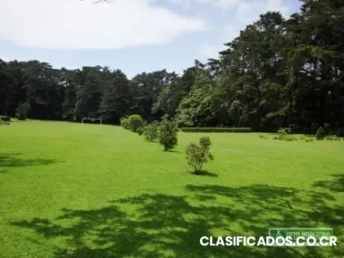 Se vende hermosa propiedad en los ángeles, san rafael, heredia