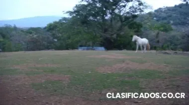 Se vende lote en ciudad colón $562,500/san josé