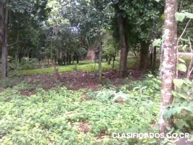 Se vende lote en san mateo