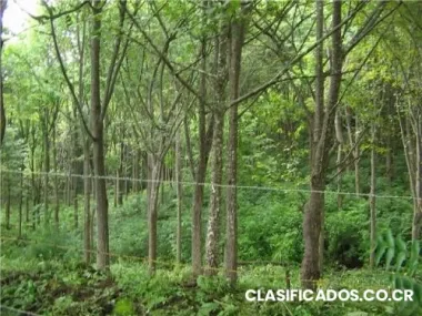 Se vende preciosa finca en guanacaste