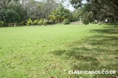 Se vende propiedad para desarrollo en los llanos de la garita, alajuela