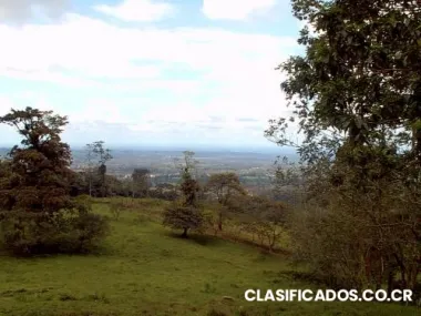 Se vende quinta en san carlos, alajuela