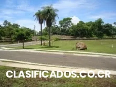 Se venden lotes en orotina