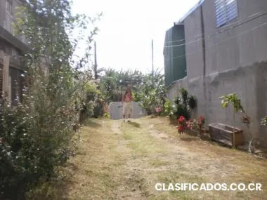 Tengo terreno para alquilar y construir un local