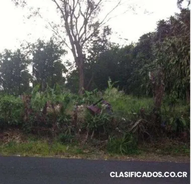 Terreno #76 mercedes sur heredia