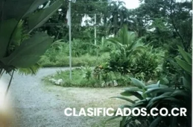 Terreno a cinco minutos de la playa puerto viejo de limon.