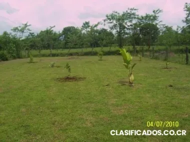 Terreno cerca de la fortuna venta 6 000 000