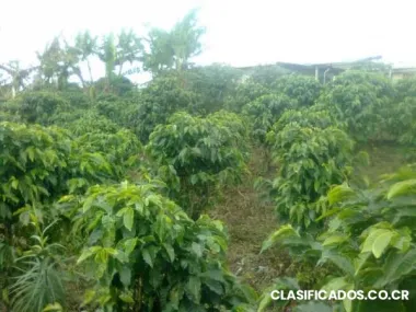 Terreno con vista en santa barbara de heredia