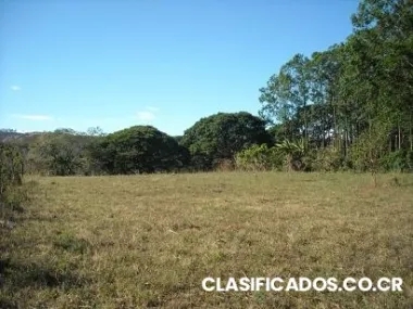 Terreno de alta densidad 6000 m2 alajuela
