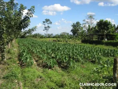 Terreno en la fortuna, el tanque, san carlos