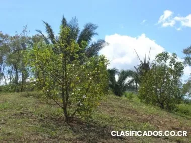 Terreno en turrubares de san josé