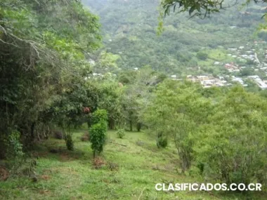 Terreno salitrillos-aserrí